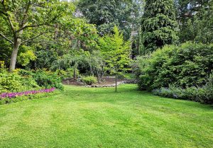Optimiser l'expérience du jardin à Saint-Symphorien-des-Bruyeres